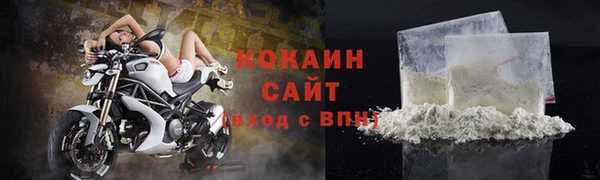 прущие крисы Тайга