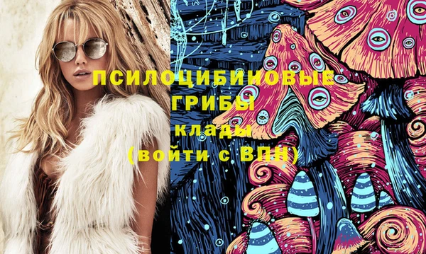 прущие крисы Тайга