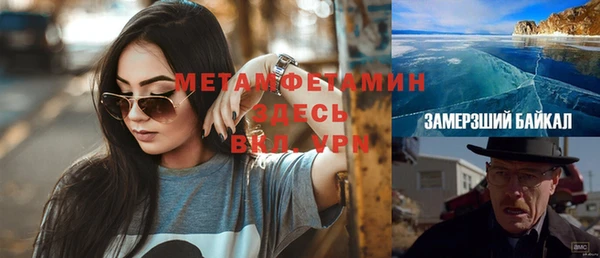 прущие крисы Тайга